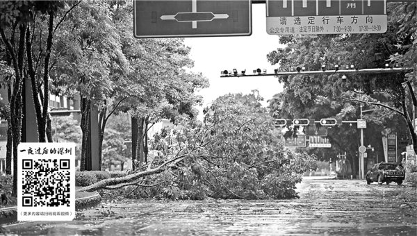 实盘配资app 筑牢运营屏障 广东省内公司同心抗台风